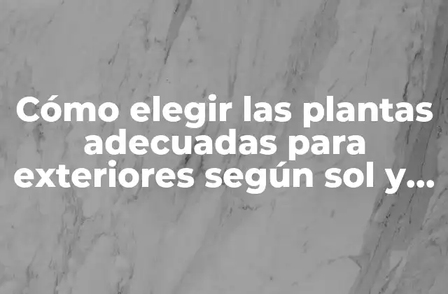 Cómo Elegir las Plantas Adecuadas para Exteriores según Sol y Sombra