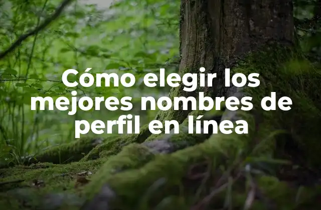Cómo Elegir los Mejores Nombres de Perfil en Línea