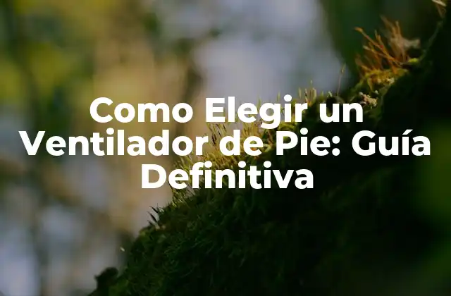 Como Elegir un Ventilador de Pie: Guía Definitiva