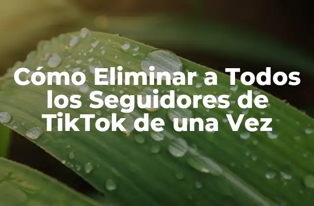 Cómo Eliminar a Todos los Seguidores de Tiktok de una Vez
