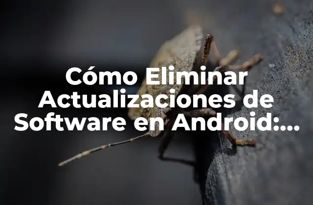 Cómo Eliminar Actualizaciones de Software en Android: Guía Definitiva