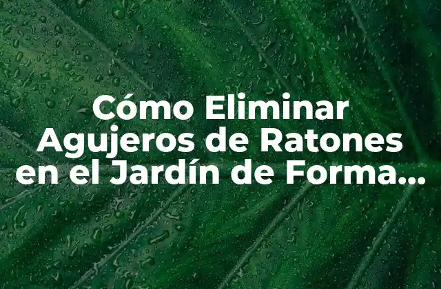 Causas de los Agujeros de Ratones en el Jardín