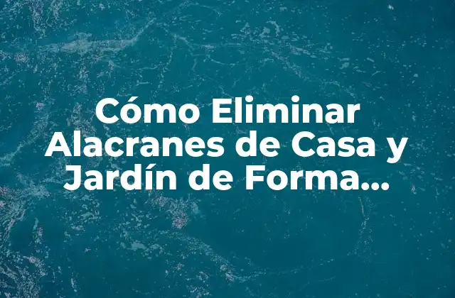 Cómo Eliminar Alacranes de Casa y Jardín de Forma Efectiva