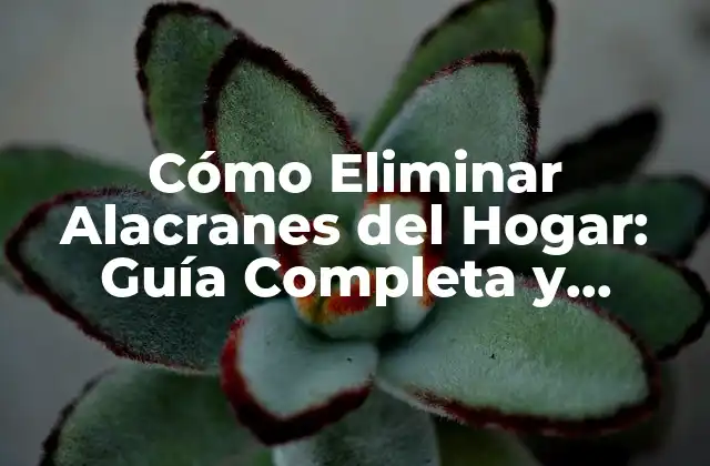 Cómo Eliminar Alacranes Del Hogar: Guía Completa y Segura