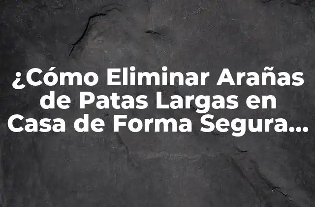 ¿cómo Eliminar Arañas de Patas Largas en Casa de Forma Segura y Efectiva?