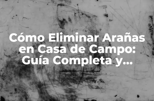 Cómo Eliminar Arañas en Casa de Campo: Guía Completa y Efectiva 2 ¿Por qué las Arañas Se Encuentran en Casas de Campo?