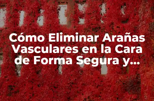 Cómo Eliminar Arañas Vasculares en la Cara de Forma Segura y Efectiva