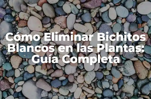 Cómo Eliminar Bichitos Blancos en las Plantas: Guía Completa