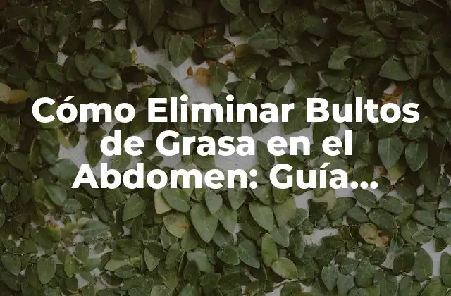 Cómo Eliminar Bultos de Grasa en el Abdomen: Guía Completa y Efectiva