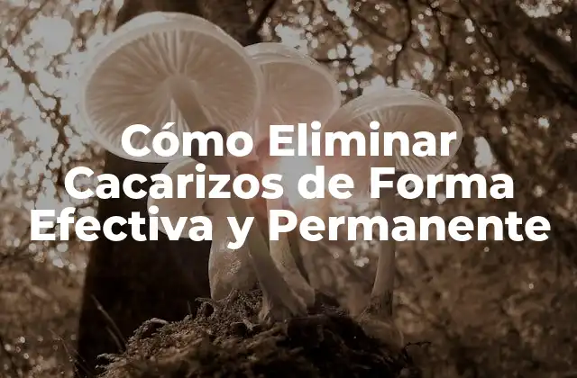Cómo Eliminar Cacarizos de Forma Efectiva y Permanente