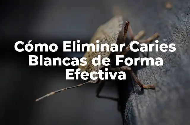 Cómo Eliminar Caries Blancas de Forma Efectiva