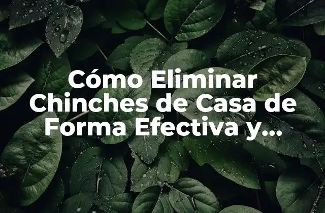 Cómo Eliminar Chinches de Casa de Forma Efectiva y Permanente 2 ¿Qué son las Chinches de Casa?
