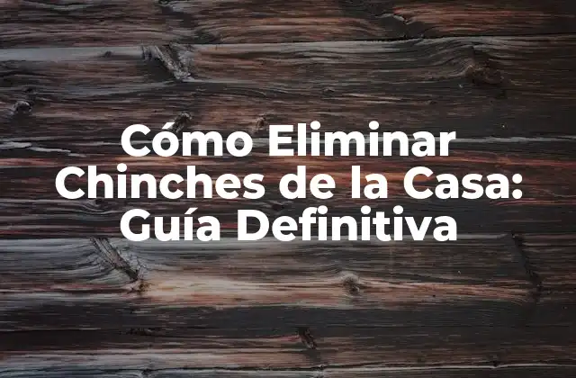 Cómo Eliminar Chinches de la Casa: Guía Definitiva