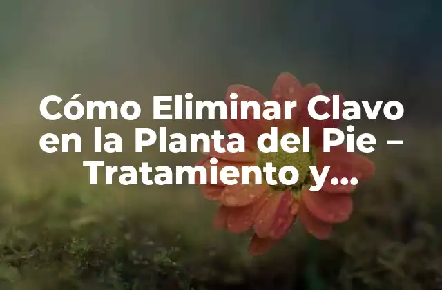 Cómo Eliminar Clavo en la Planta Del Pie – Tratamiento y Prevención