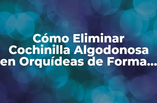 Cómo Eliminar Cochinilla Algodonosa en Orquídeas de Forma Efectiva
