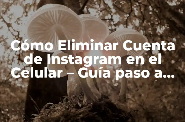 Cómo Eliminar Cuenta de Instagram en el Celular – Guía Paso a Paso
