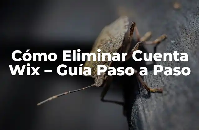 Cómo Eliminar Cuenta Wix – Guía Paso a Paso