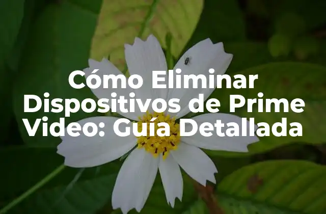 Cómo Eliminar Dispositivos de Prime Video: Guía Detallada