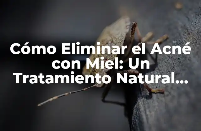 Cómo Eliminar el Acné con Miel: un Tratamiento Natural Efectivo