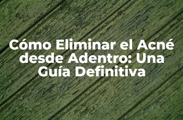 Cómo Eliminar el Acné desde Adentro: una Guía Definitiva