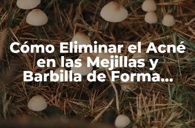 Cómo Eliminar el Acné en las Mejillas y Barbilla de Forma Natural