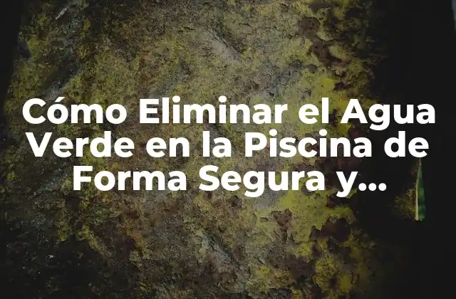 Cómo Eliminar el Agua Verde en la Piscina de Forma Segura y Efectiva