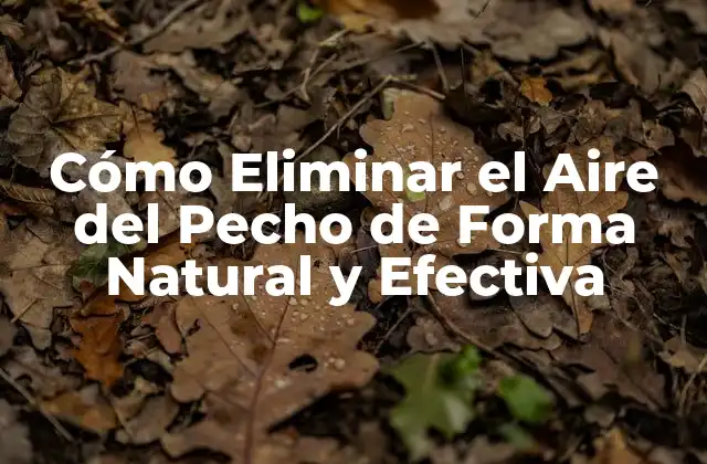 Cómo Eliminar el Aire Del Pecho de Forma Natural y Efectiva