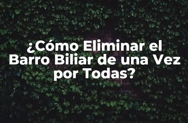 ¿cómo Eliminar el Barro Biliar de una Vez por Todas?