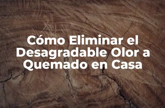 Cómo Eliminar el Desagradable Olor a Quemado en Casa 2 Causas del Olor a Quemado