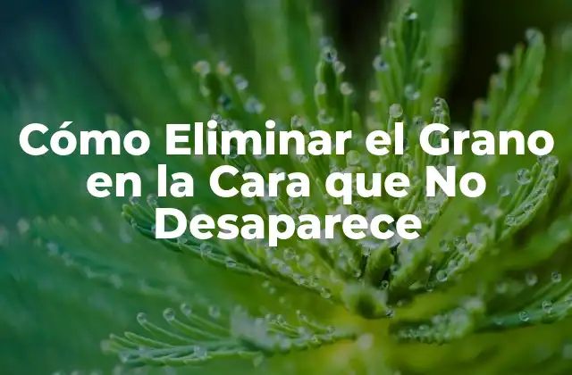 Cómo Eliminar el Grano en la Cara que No Desaparece