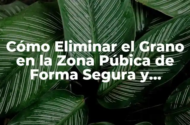 Cómo Eliminar el Grano en la Zona Púbica de Forma Segura y Efectiva