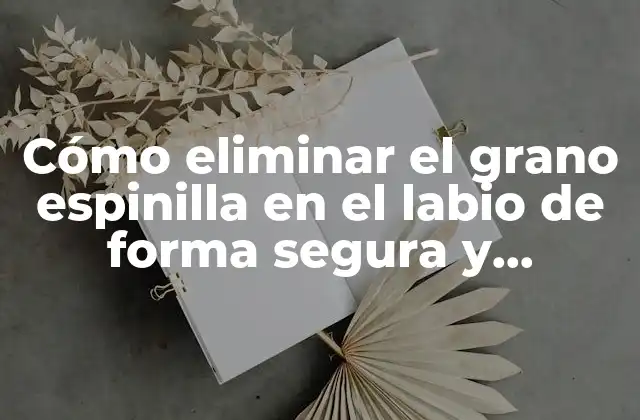 Cómo Eliminar el Grano Espinilla en el Labio de Forma Segura y Efectiva