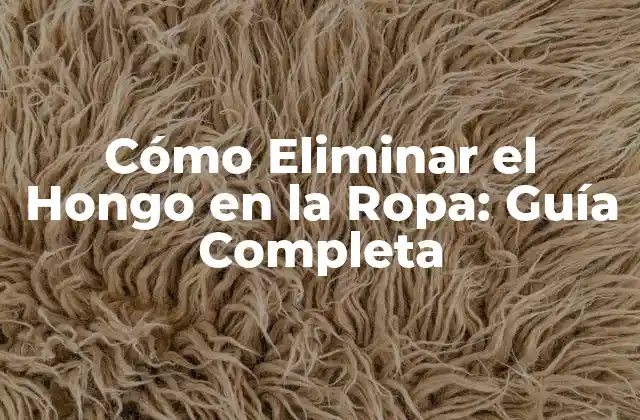 Cómo Eliminar el Hongo en la Ropa: Guía Completa