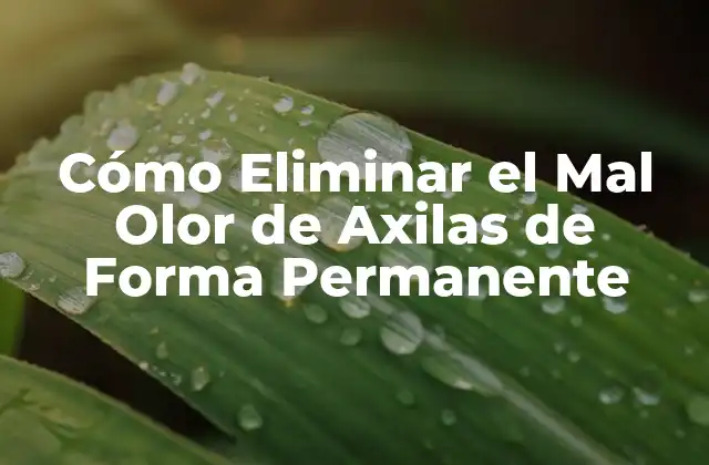 Cómo Eliminar el Mal Olor de Axilas de Forma Permanente