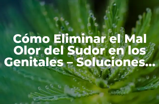 Cómo Eliminar el Mal Olor Del Sudor en los Genitales – Soluciones Naturales y Efectivas