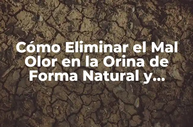 Cómo Eliminar el Mal Olor en la Orina de Forma Natural y Permanente