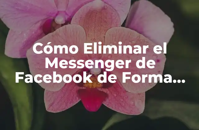 Cómo Eliminar el Messenger de Facebook de Forma Definitiva