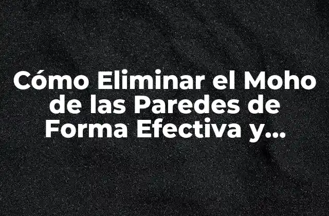 ¿Cuáles Son las Causas del Moho en las Paredes?