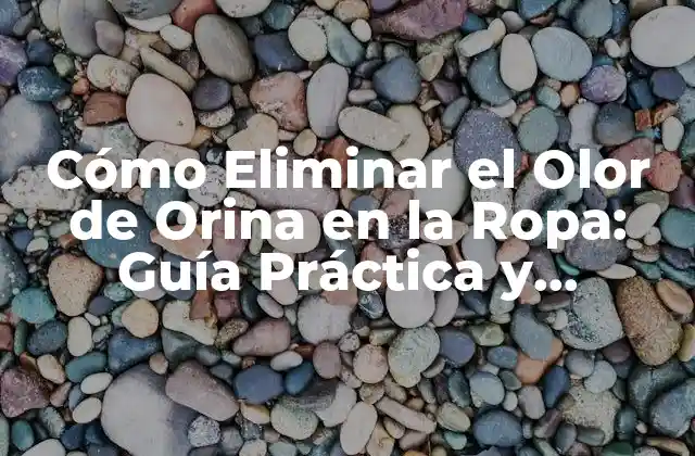 Cómo Eliminar el Olor de Orina en la Ropa: Guía Práctica y Efectiva 2 Causas del Olor de Orina en la Ropa