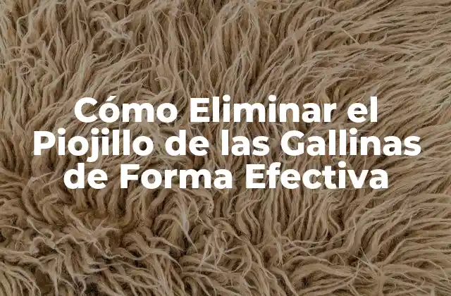 Cómo Eliminar el Piojillo de las Gallinas de Forma Efectiva 2 ¿Qué son los Piojillos de las Gallinas?