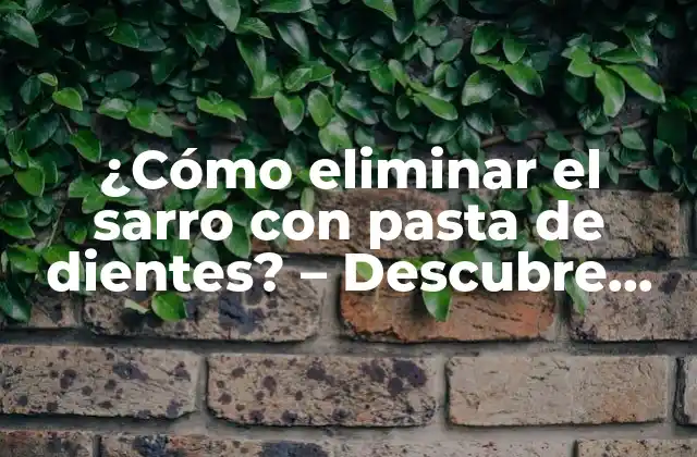 ¿cómo Eliminar el Sarro con Pasta de Dientes? – Descubre los Secretos para una Sonrisa Radiante