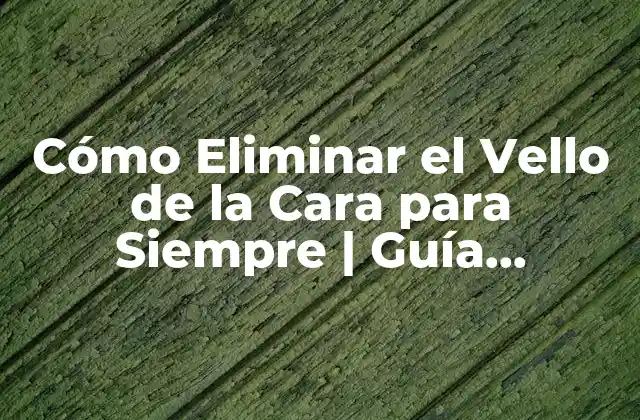 Cómo Eliminar el Vello de la Cara para Siempre | Guía Completa