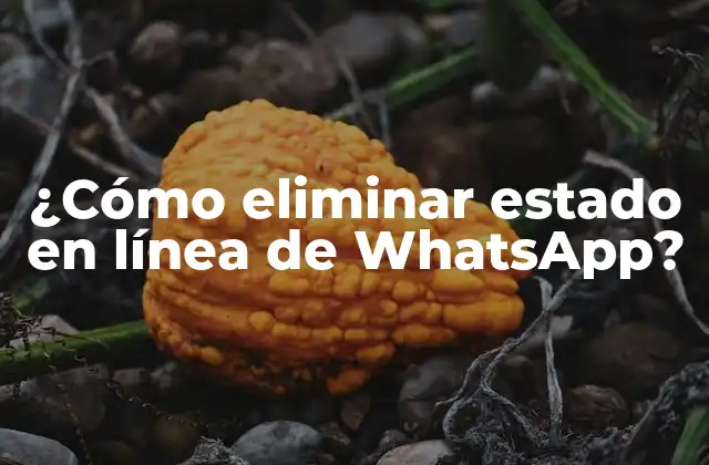 ¿cómo Eliminar Estado en Línea de Whatsapp?