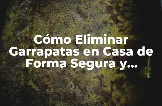 Cómo Eliminar Garrapatas en Casa de Forma Segura y Efectiva