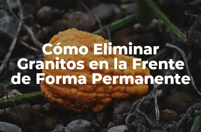 Cómo Eliminar Granitos en la Frente de Forma Permanente