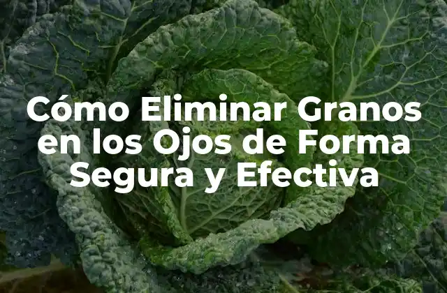 Cómo Eliminar Granos en los Ojos de Forma Segura y Efectiva