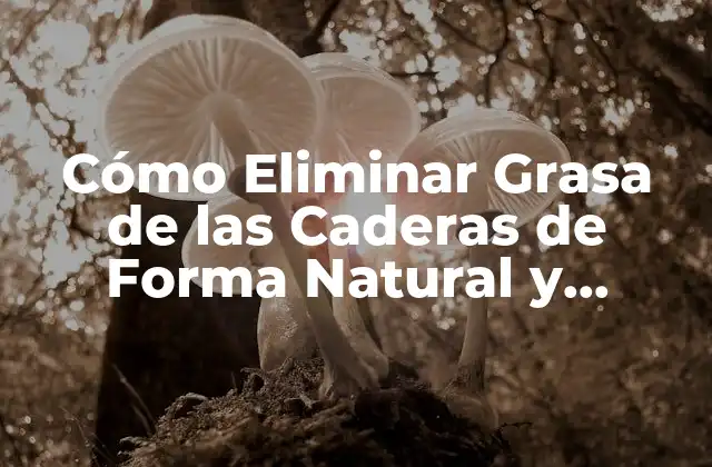 Cómo Eliminar Grasa de las Caderas de Forma Natural y Efectiva 2 Entender la Grasa en las Caderas