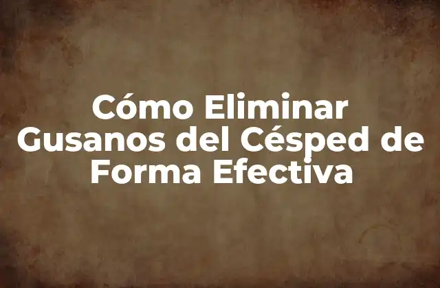 Cómo Eliminar Gusanos Del Césped de Forma Efectiva