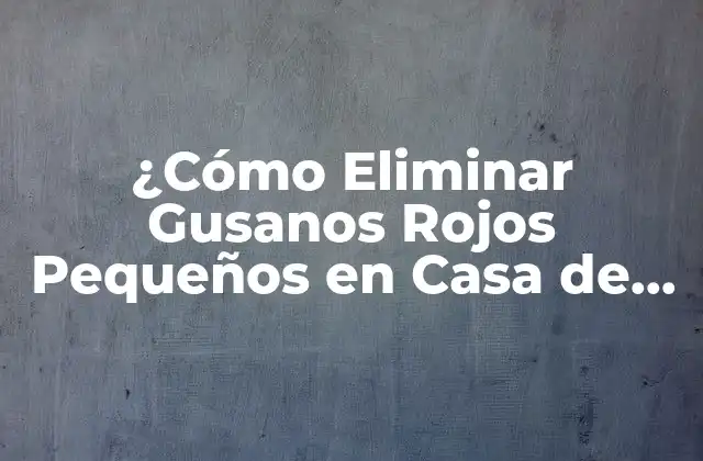 ¿cómo Eliminar Gusanos Rojos Pequeños en Casa de Forma Segura y Efectiva?