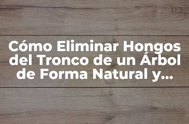 Cómo Eliminar Hongos Del Tronco de un Árbol de Forma Natural y Efectiva